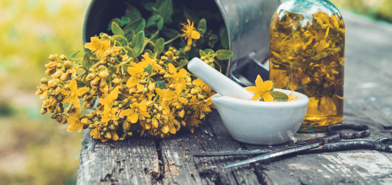 Best Natural Anxiety Supplements & Herbs for Mental Health – Mother Earth News - Vimarsana News